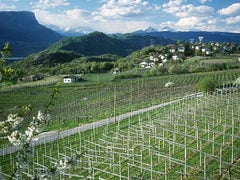 Montagna in Alto Adige