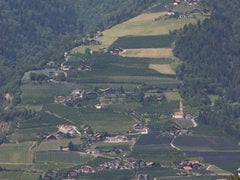Caines in Alto Adige
